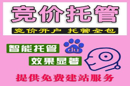 SEM竞价托管代运营助力业绩倍增